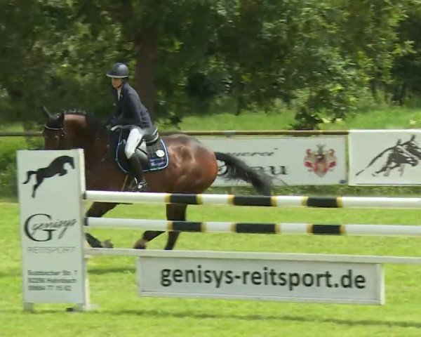 Reitturnier Hahnbach/Opf. 2020
