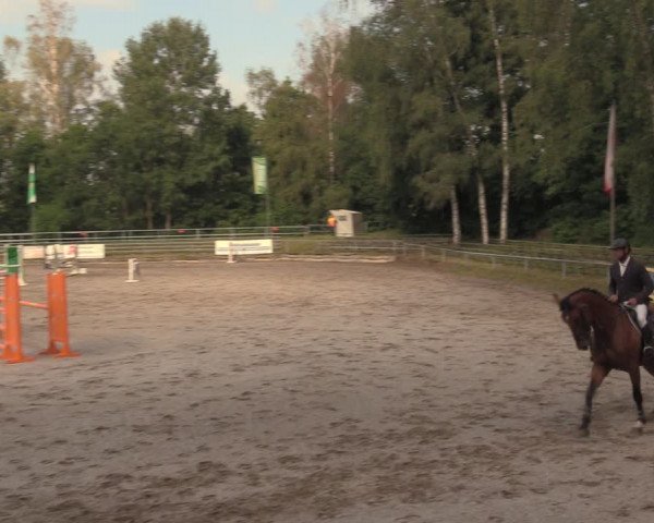 Reitturnier Lgl.-Oberhain, B95 2020