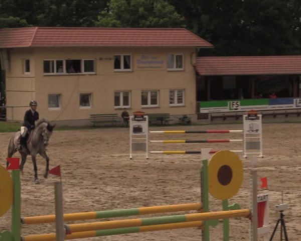 Reitturnier Lgl.-Oberhain, B95 2020