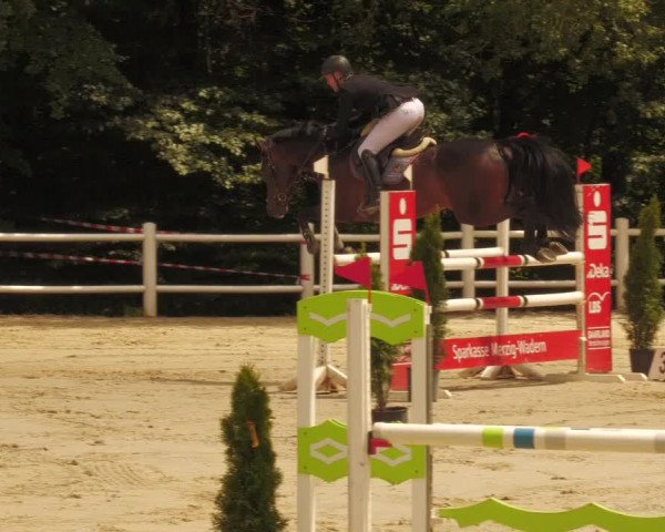 Reitturnier Losheim 2020