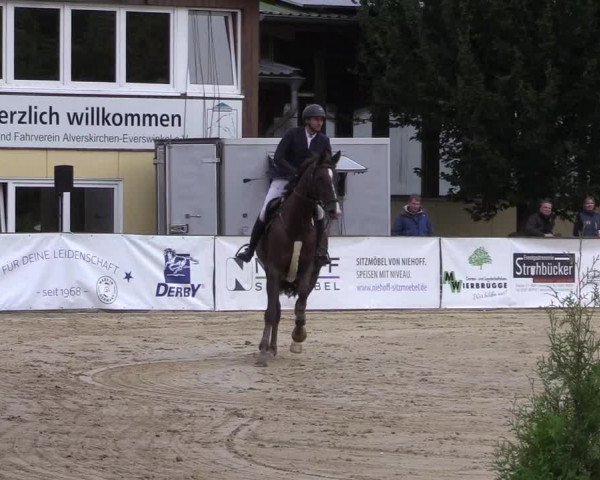 Reitturnier Everswinkel 2021