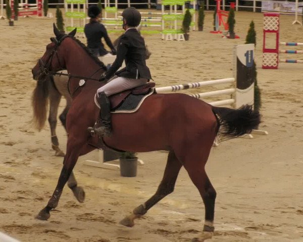 Reitturnier Losheim 2020