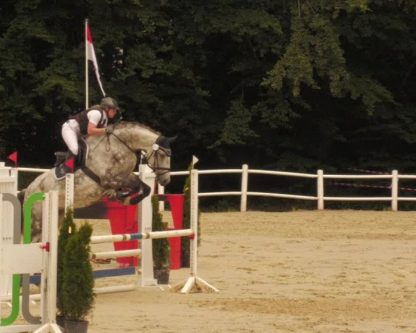 Reitturnier Losheim 2020