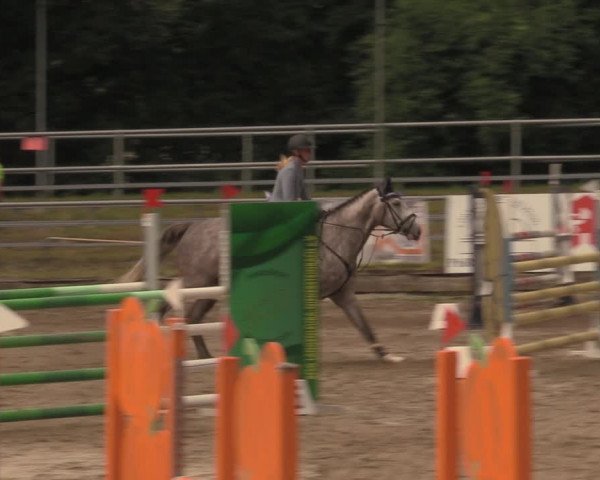 Reitturnier Lgl.-Oberhain, B95 2020