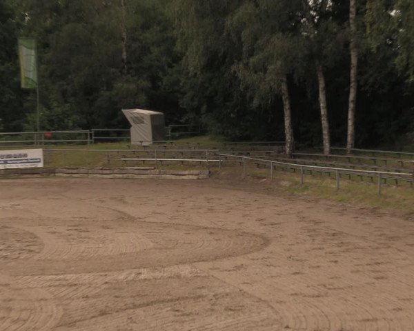 Reitturnier Lgl.-Oberhain, B95 2020