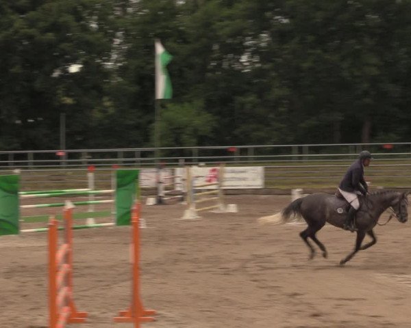 Reitturnier Lgl.-Oberhain, B95 2020