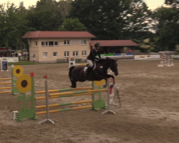 Reitturnier Lgl.-Oberhain, B95 2020