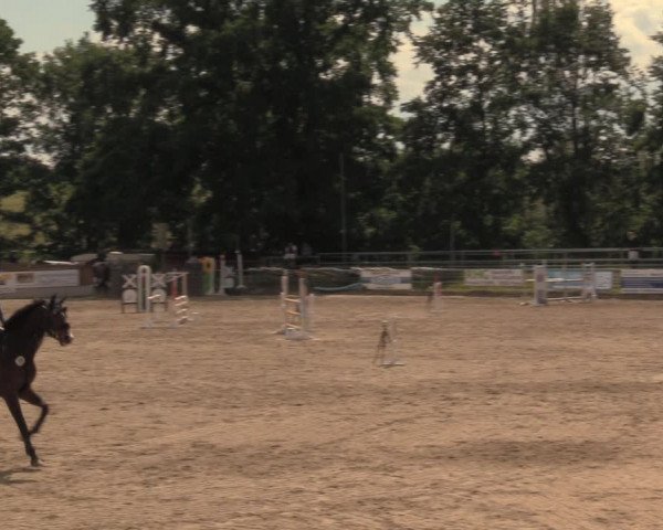 Reitturnier Lgl.-Oberhain, B95 2020