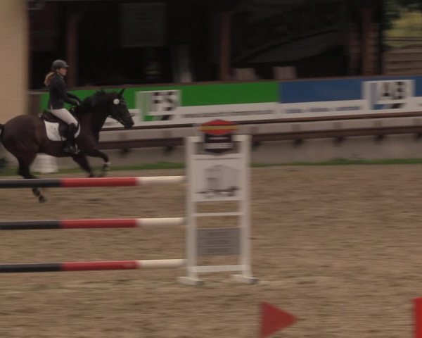 Reitturnier Lgl.-Oberhain, B95 2020