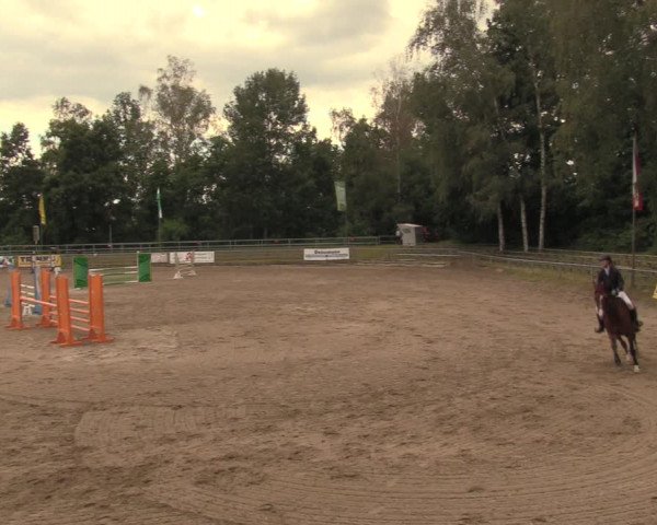 Reitturnier Lgl.-Oberhain, B95 2020