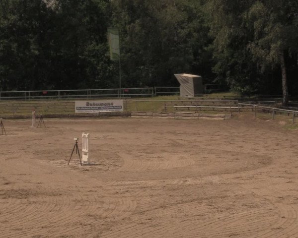 Reitturnier Lgl.-Oberhain, B95 2020