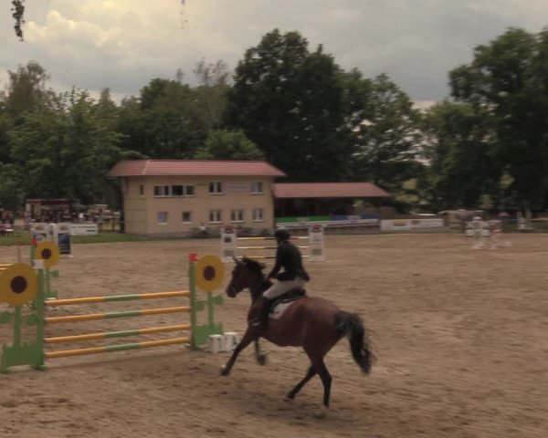 Reitturnier Lgl.-Oberhain, B95 2020