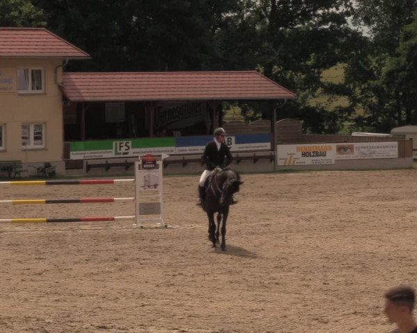 Reitturnier Lgl.-Oberhain, B95 2020