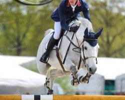 jumper Mersley Chakotay (anglo european sporthorse, 2004, from Mersley Mon Capatain)