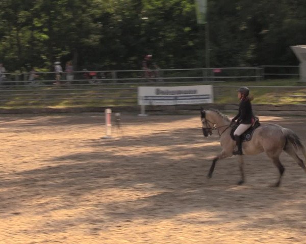 Reitturnier Lgl.-Oberhain, B95 2020