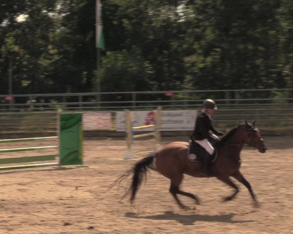 Reitturnier Lgl.-Oberhain, B95 2020