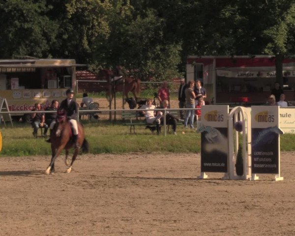 Reitturnier Lgl.-Oberhain, B95 2020
