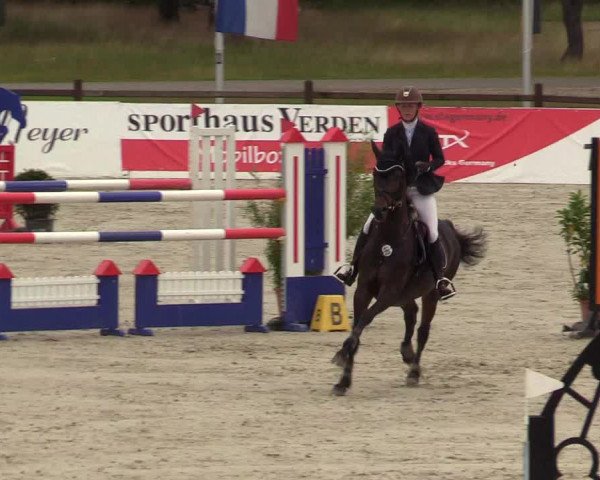 Reitturnier Westergellersen - Luhmühlen 2020