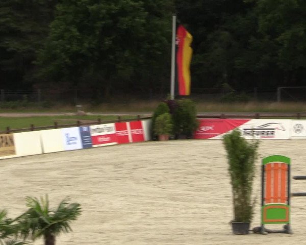 Reitturnier Westergellersen - Luhmühlen 2020