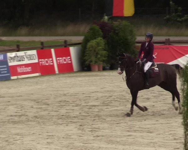 Reitturnier Westergellersen - Luhmühlen 2020