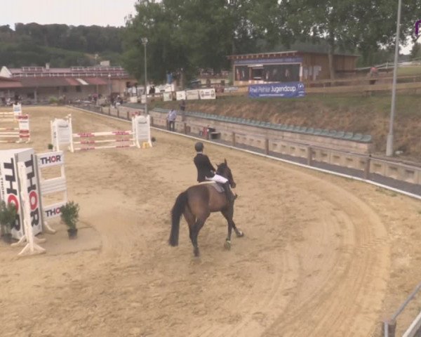 Reitturnier Uder, Reitanlage Kobold 2020