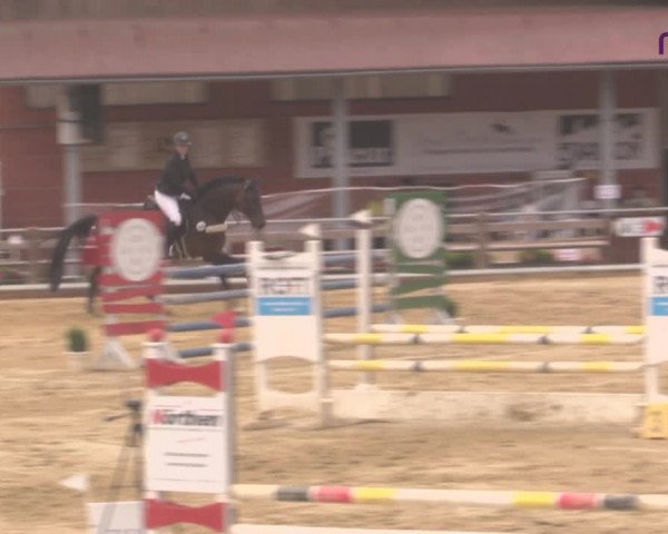 Reitturnier Uder, Reitanlage Kobold 2020