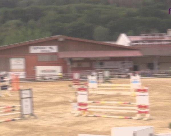 Reitturnier Uder, Reitanlage Kobold 2020