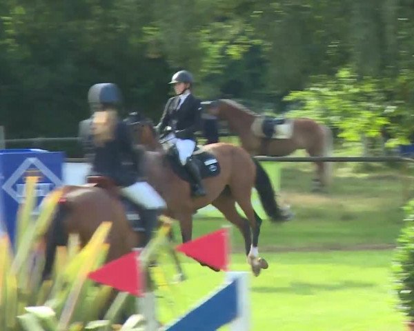 Reitturnier Hahnbach/Opf. 2020