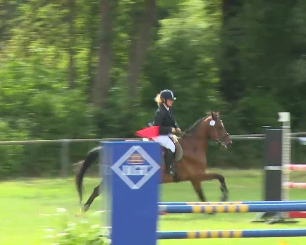 Reitturnier Hahnbach/Opf. 2020