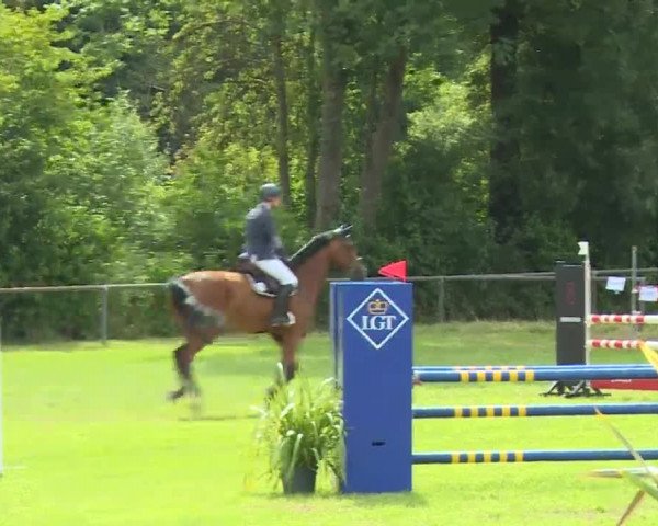 Reitturnier Hahnbach/Opf. 2020