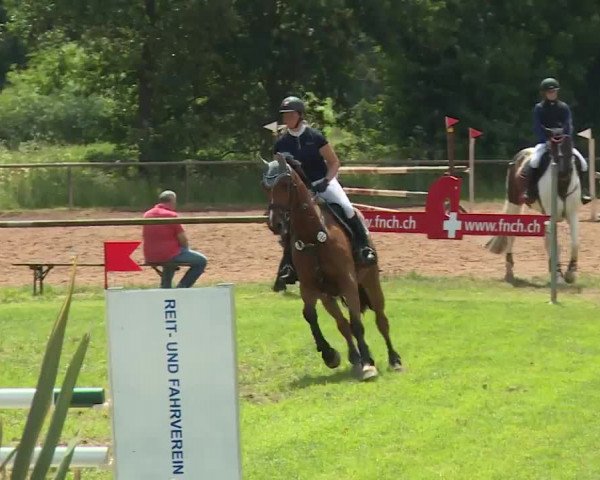 Reitturnier Hahnbach/Opf. 2020