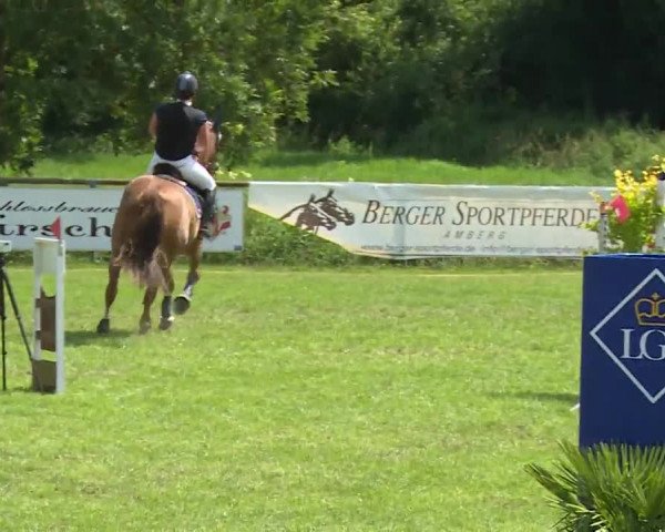 Reitturnier Hahnbach/Opf. 2020