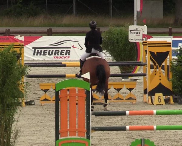 Reitturnier Westergellersen - Luhmühlen 2020