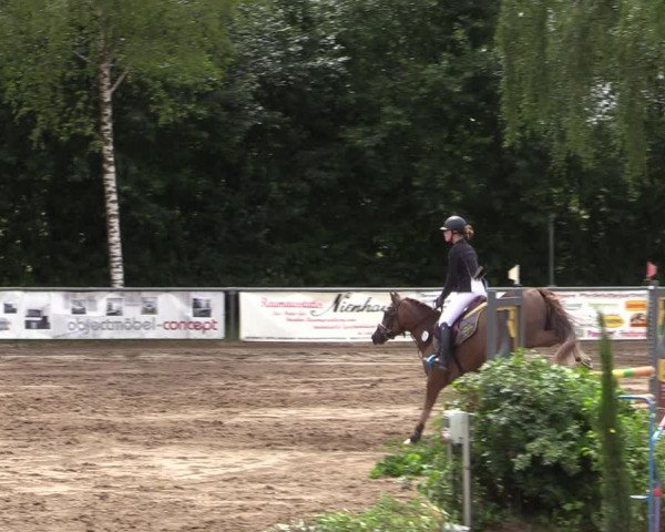Reitturnier Seppenrade 2020