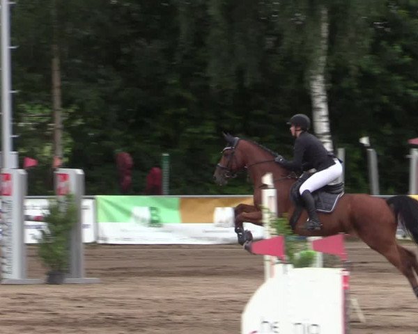 Reitturnier Seppenrade 2020
