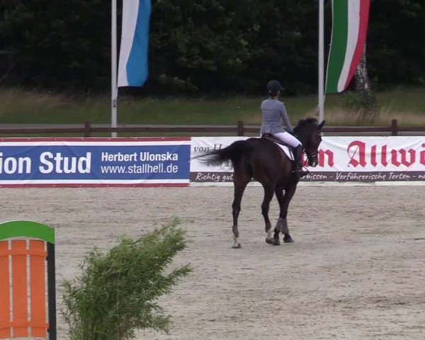Reitturnier Westergellersen - Luhmühlen 2020