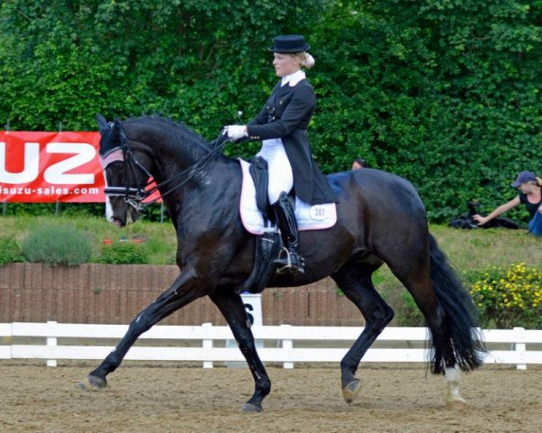 dressage horse Royal Diamond 10 (Oldenburg, 1999, from Rohdiamant)
