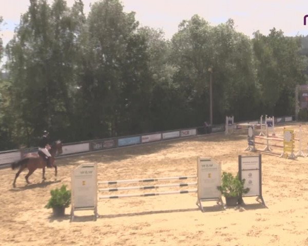 Reitturnier Uder, Reitanlage Kobold 2020