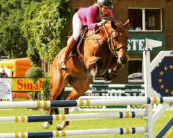 broodmare Capopia (Holsteiner, 2009, from Cristo)