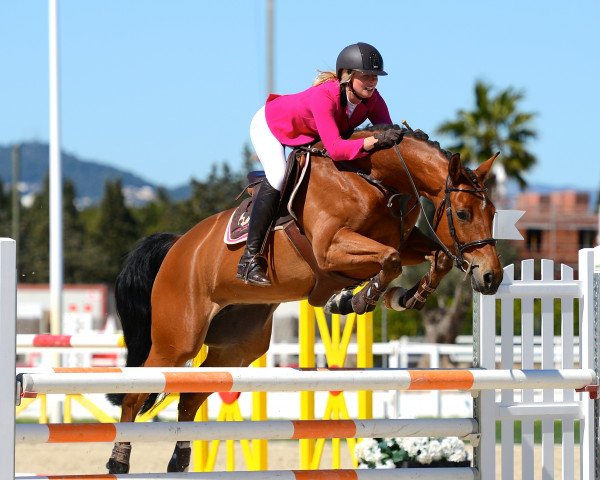 jumper Ornellaia 2 (Oldenburg, 2008, from Check In 2)
