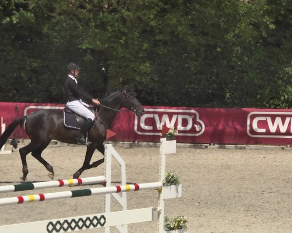 Reitturnier Worms-Pfeddersheim / Reitsportanlage Wittemer 2020