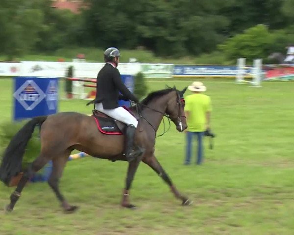 Reitturnier Hahnbach/Opf. 2020