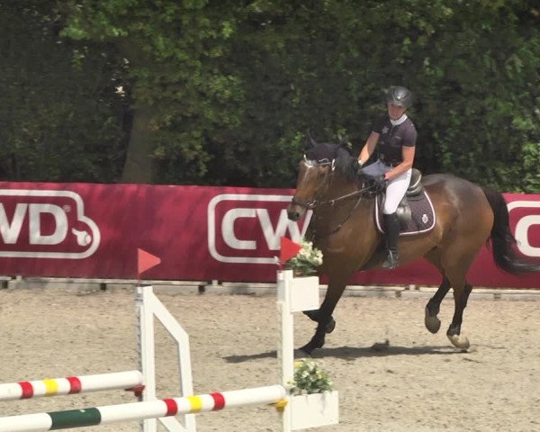 Reitturnier Worms-Pfeddersheim / Reitsportanlage Wittemer 2020