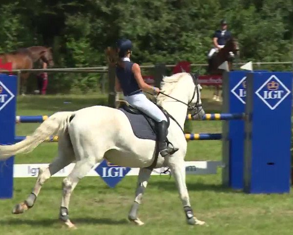 Reitturnier Hahnbach/Opf. 2020