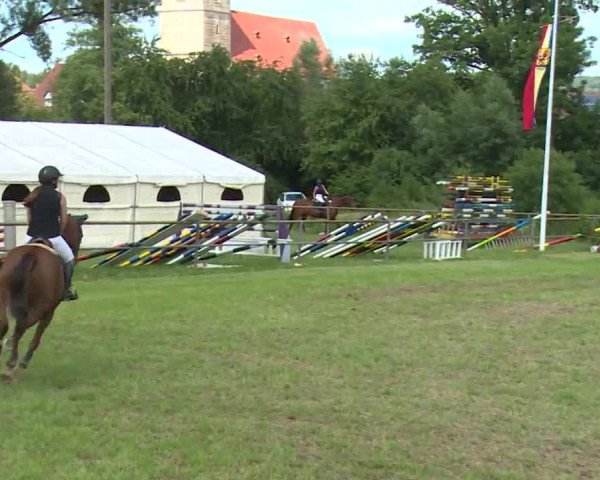 Reitturnier Hahnbach/Opf. 2020