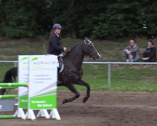Reitturnier Seppenrade 2020