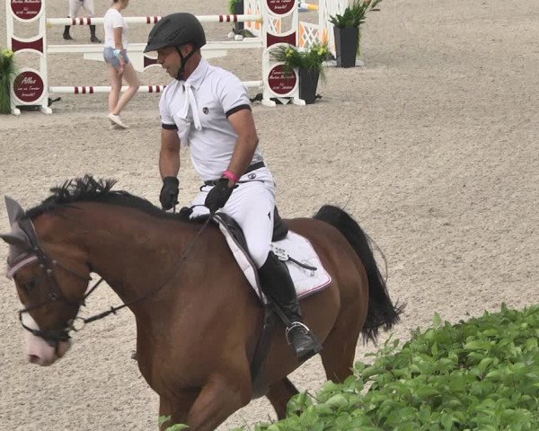 Reitturnier Worms-Pfeddersheim / Reitsportanlage Wittemer 2020