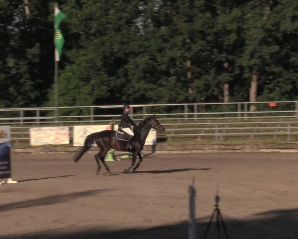 Reitturnier Lgl.-Oberhain, B95 2020