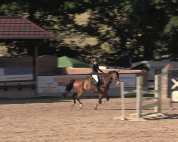 Reitturnier Lgl.-Oberhain, B95 2020
