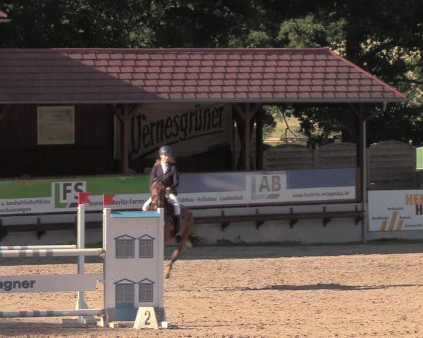 Reitturnier Lgl.-Oberhain, B95 2020